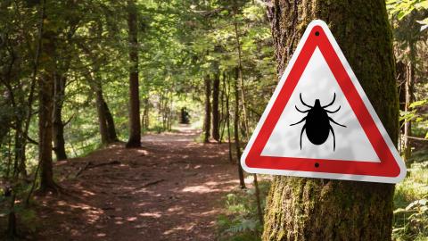Nature path with Tick Caution Sign 