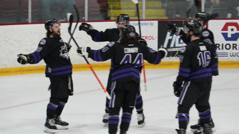 hockey players celebrate a goal on the ice