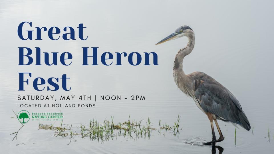 Blue Heron Fest