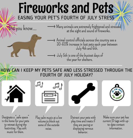 Easing your pet's Fourth of July Stress