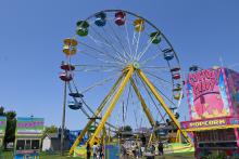 Ferris wheel at a carnival