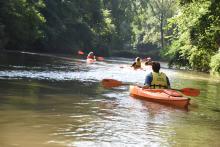 a group kayaks on a river 
